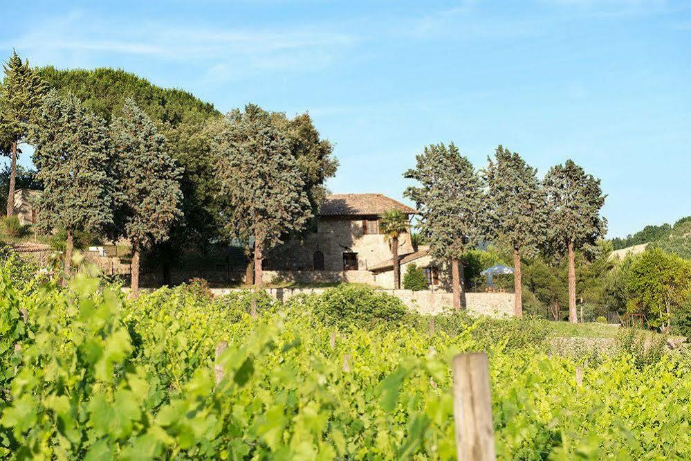 Agriturismo Colle Pu Pieve San Nicolo Exterior foto