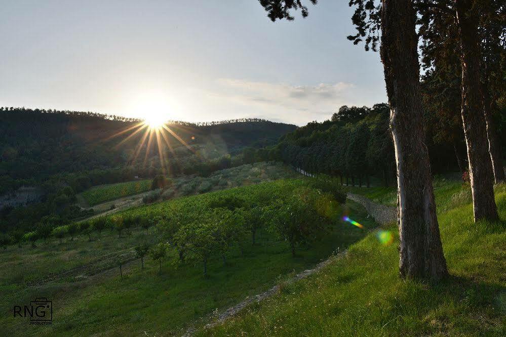 Agriturismo Colle Pu Pieve San Nicolo Exterior foto